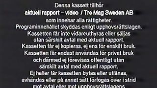Svenska Folkets Sexvanor 5